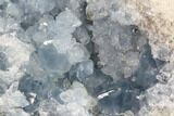 Blue Celestine (Celestite) Crystal Crystal Geode - Madagascar #87136-2